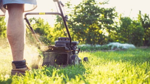 man mowing grass