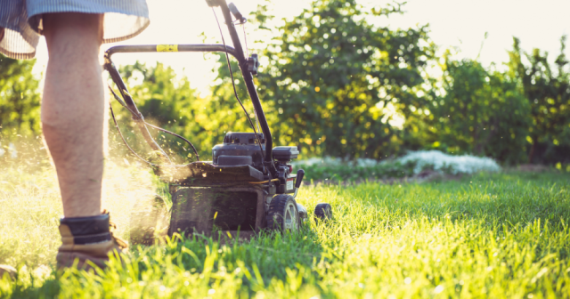 man mowing grass