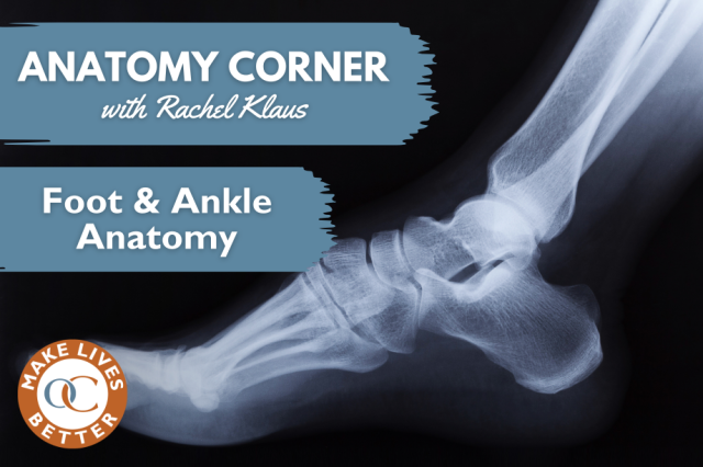 Foot and Ankle Institute | Orthopedic Care Media | OrthoCarolina