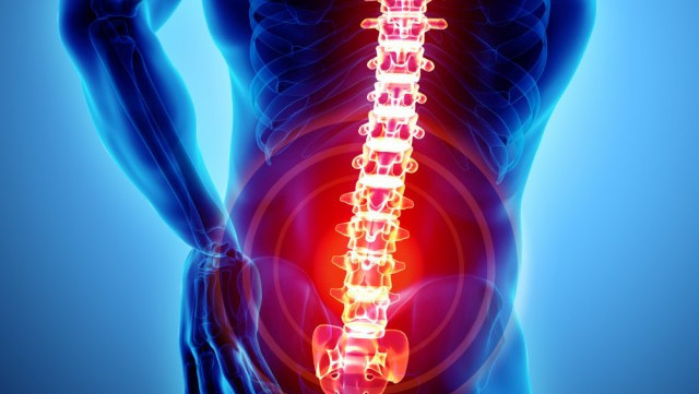 Winston Salem Spine Center Back Doctor Back Pain Spine Specialist Media Orthocarolina