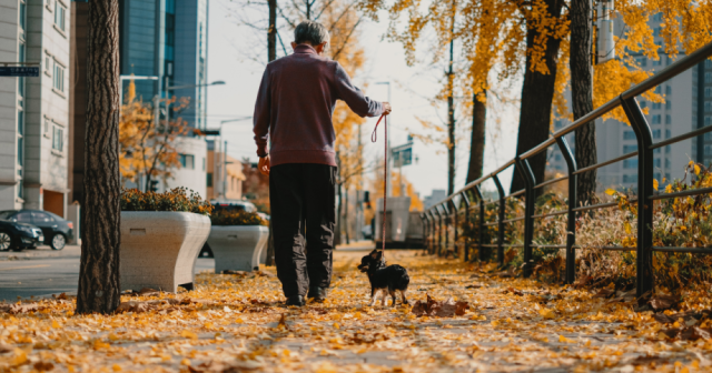 When the Weather Cools, Joint Pain Creeps In: Why Fall Triggers Inflammation