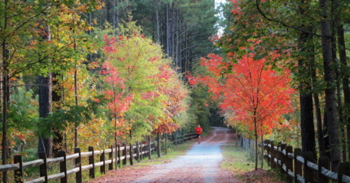 best rail trails near me