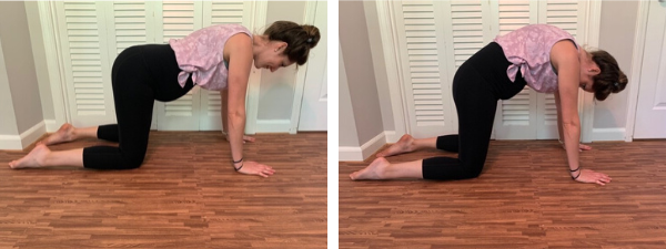 Exercises for Relief of Lower Back Pain During Pregnancy – SRC Health